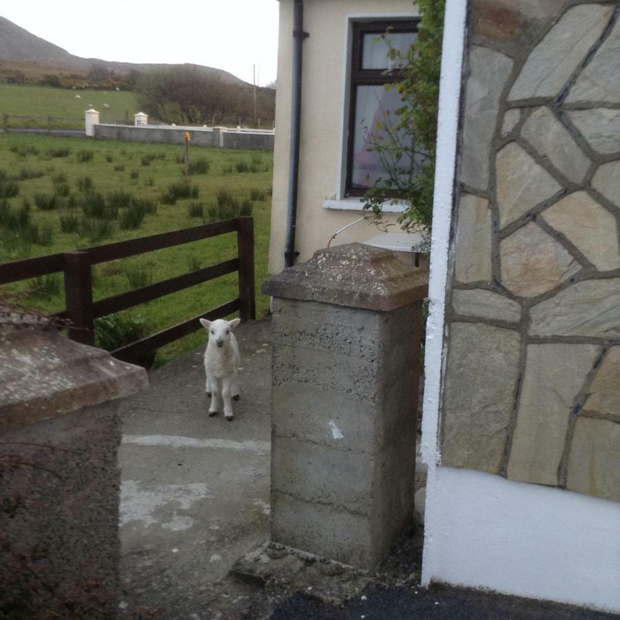 Sea View Chalet Kilsallagh Westport Co Mayo Zewnętrze zdjęcie